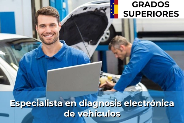 Especialista en diagnosis electrónica de vehículos