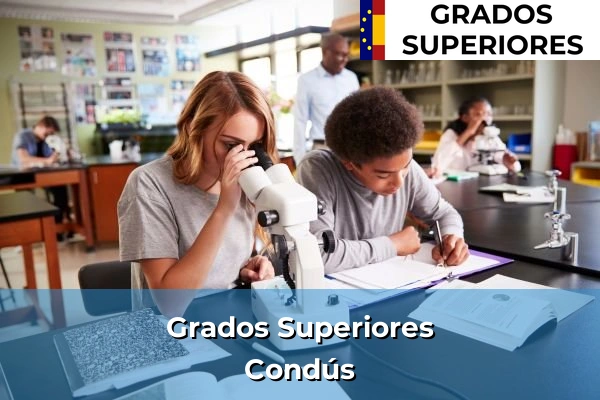 Grado Superior en Condús
